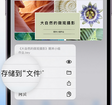 湖里apple维修中心分享iPhone文件应用中存储和找到下载文件