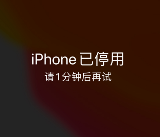 湖里苹果手机维修分享:iPhone 显示“不可用”或“已停用”怎么办？还能保留数据吗？ 