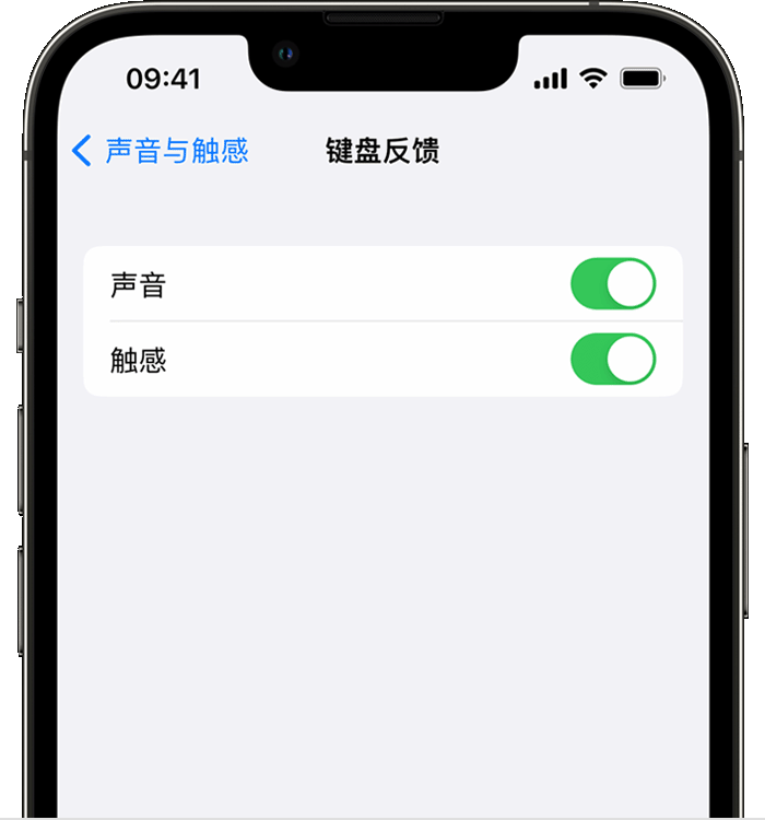 湖里苹果14维修店分享如何在 iPhone 14 机型中使用触感键盘 