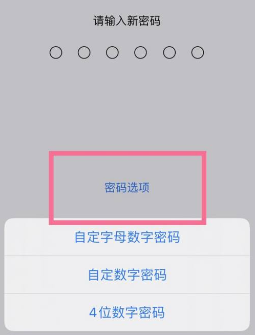 湖里苹果14维修分享iPhone 14plus设置密码的方法 