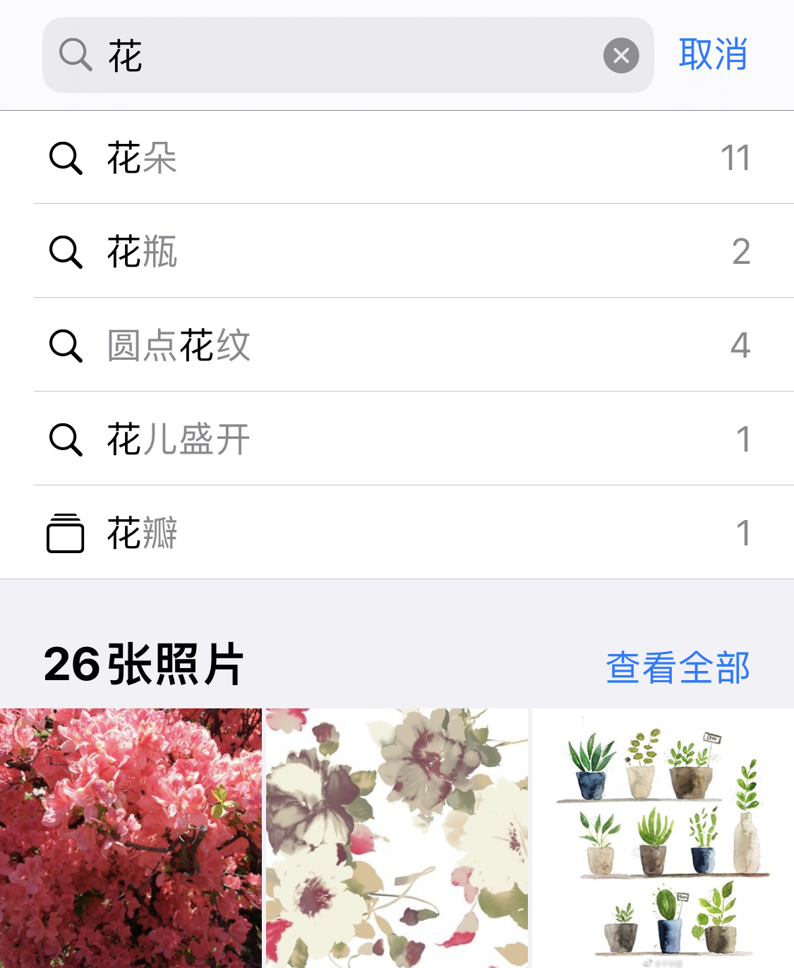 湖里苹果手机维修分享iPhone 小技巧 