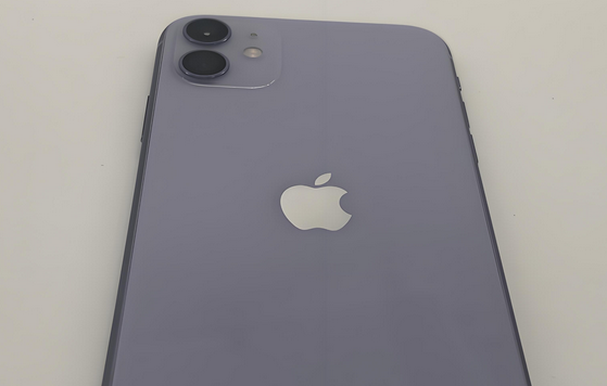 湖里苹果11系统维修分享iPhone11手机系统崩溃无法开机如何解决 